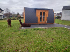 Campingpod Auf Der Alpakawiese
